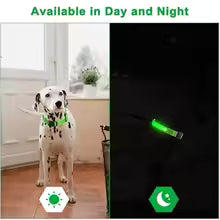 NitePaws™ Glow LED Dog Collar – USB Rechargeable Night Safety