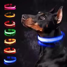 NitePaws™ Glow LED Dog Collar – USB Rechargeable Night Safety