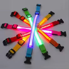 NitePaws™ Glow LED Dog Collar – USB Rechargeable Night Safety