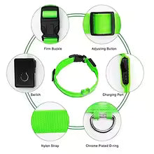 NitePaws™ Glow LED Dog Collar – USB Rechargeable Night Safety
