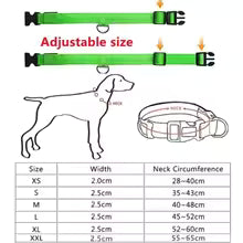 NitePaws™ Glow LED Dog Collar – USB Rechargeable Night Safety